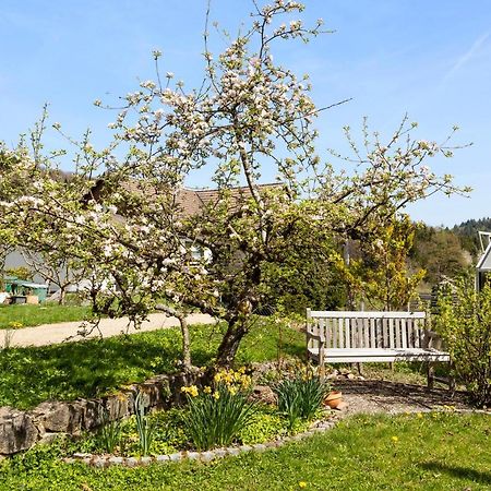 Ferienwohnung Im Alpenblick Steinen  Exterior foto